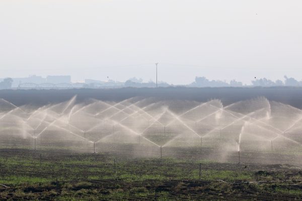 Irrigation sprinklers